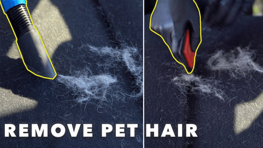 Pet Hair Removal